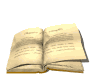 book_page_flip_md_wht (7K)